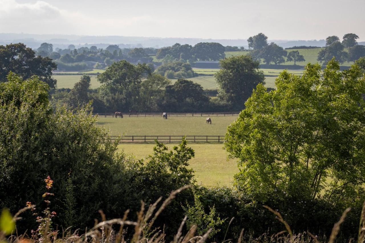 Bed and Breakfast Gutchpool Farm Gillingham  Esterno foto