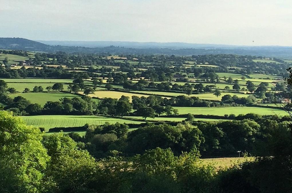 Bed and Breakfast Gutchpool Farm Gillingham  Esterno foto
